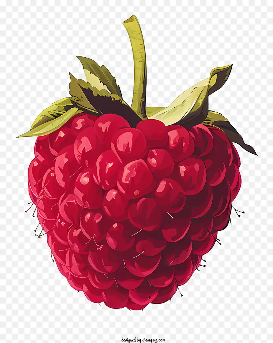 Raspberry，Merah PNG