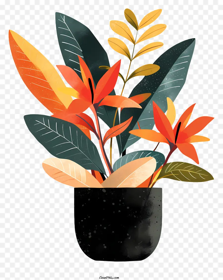 Modern Pot Bunga，Cat Air Ilustrasi PNG