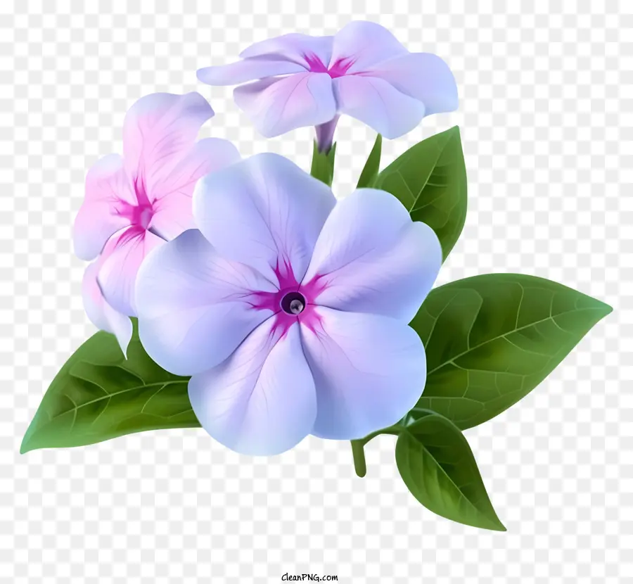 Vektor Bunga Periwinkle Yang Elegan 3d，Bunga PNG