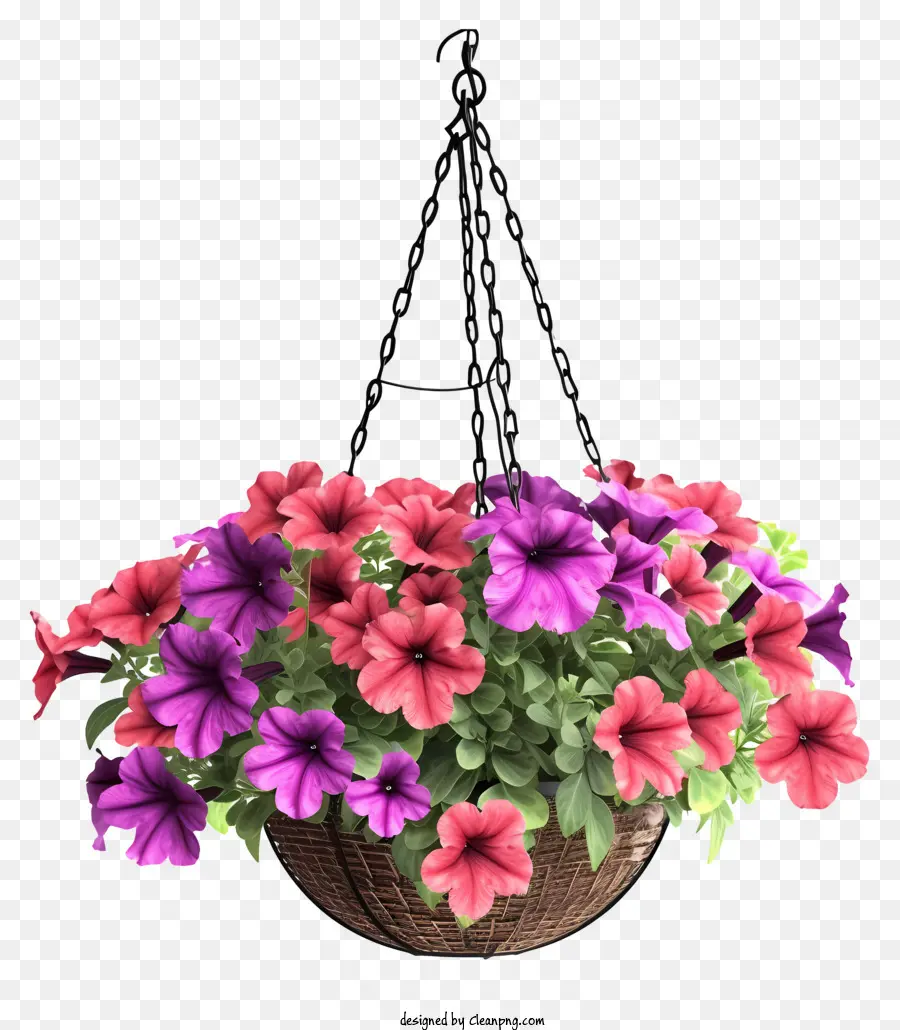 Keranjang Gantung Bunga Petunia Yang Realistis，Keranjang Anyaman PNG