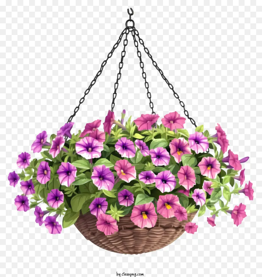 Ilustrasi Terperinci，Keranjang Gantung Bunga Petunia Yang Elegan PNG