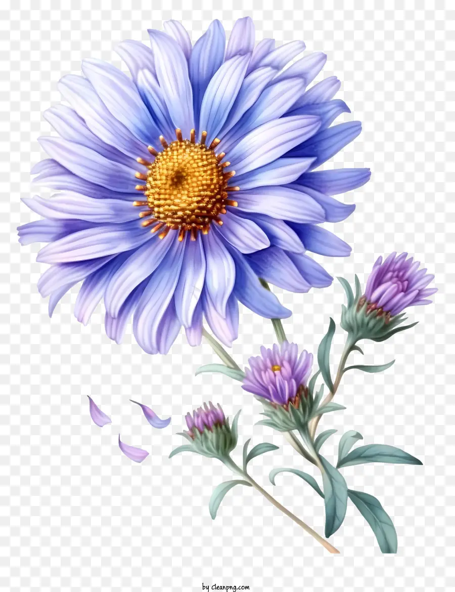 Bunga Aster Yang Elegan，Bunga Bunga Biru PNG