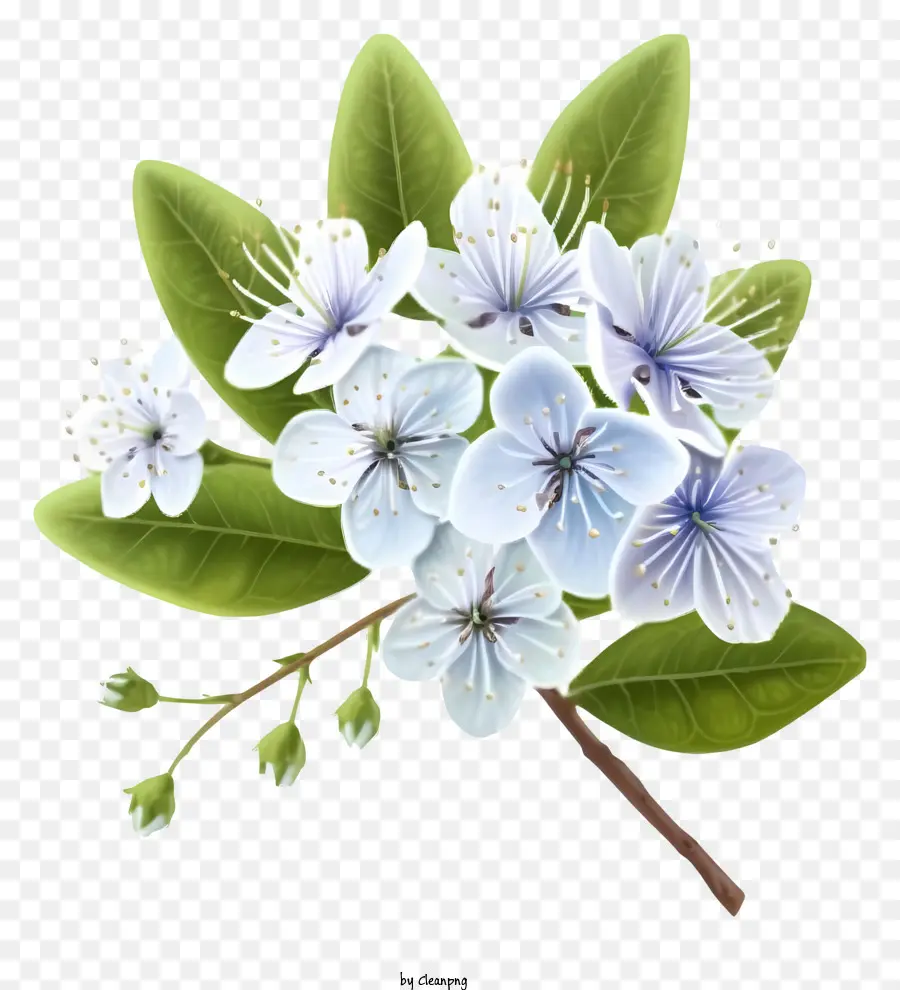 Bunga Myrtle Yang Elegan，Karangan PNG
