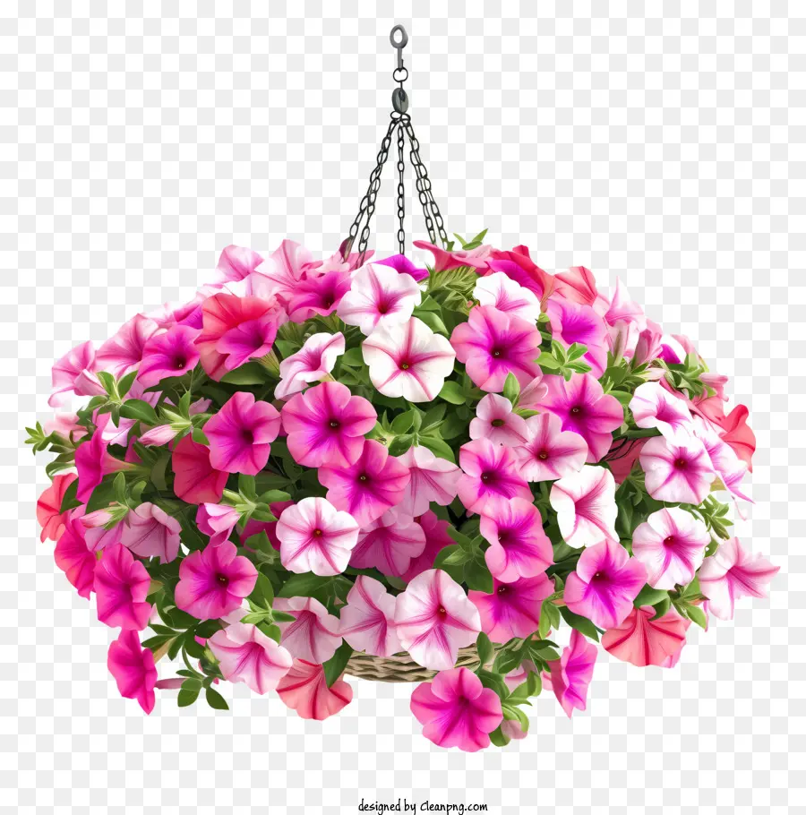 Vektor Keranjang Gantung Bunga Petunia Yang Elegan 3d，1 Keranjang Gantung PNG