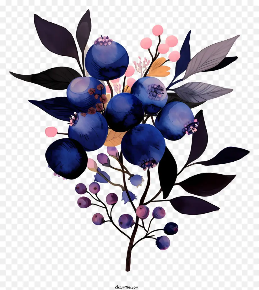 Blueberry，Bunga Merah Muda Dan Putih PNG