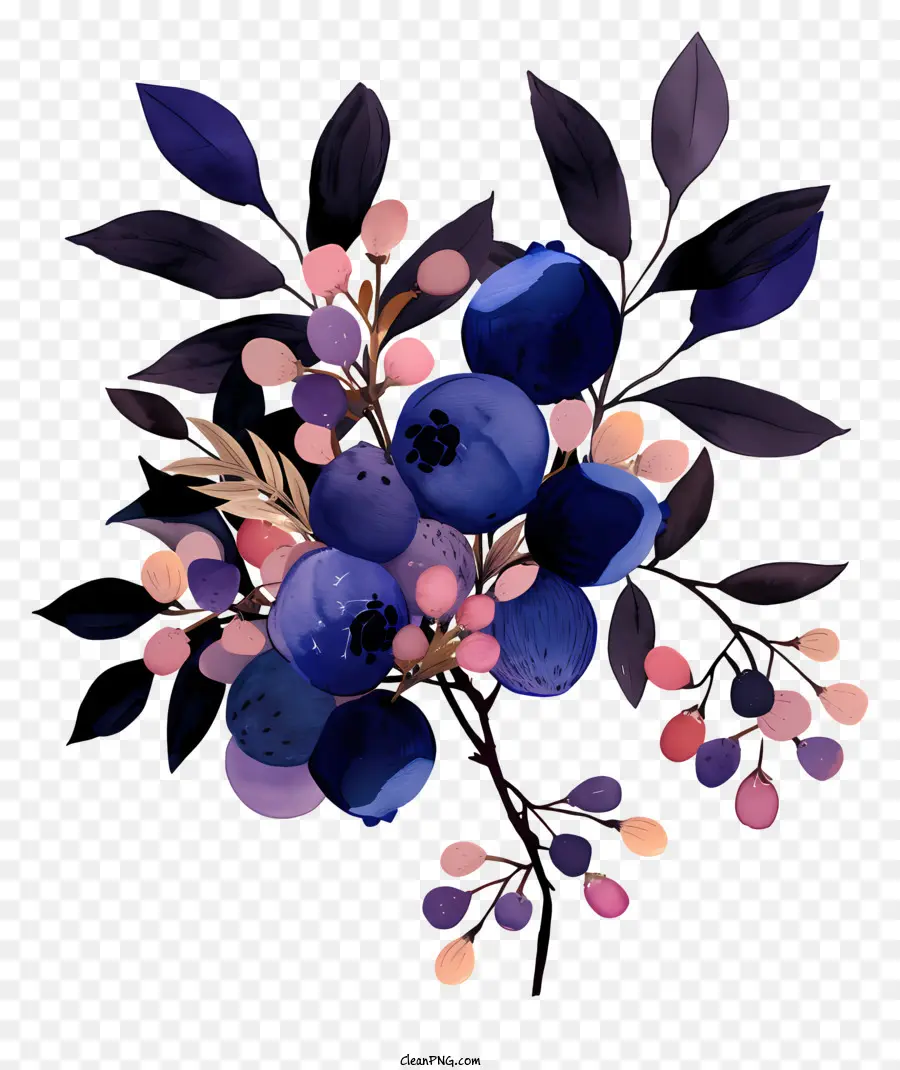 Blueberry，Buket Beri PNG