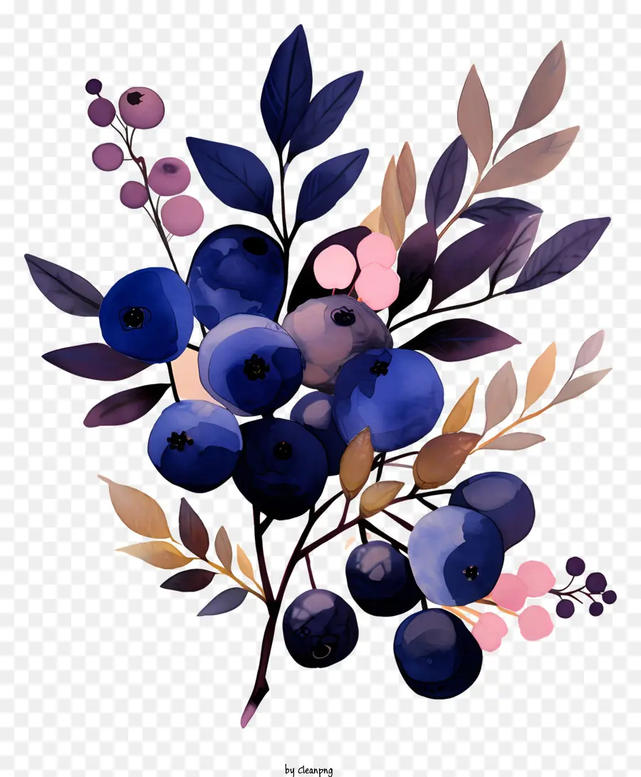 Blueberry，Buket Blueberry PNG