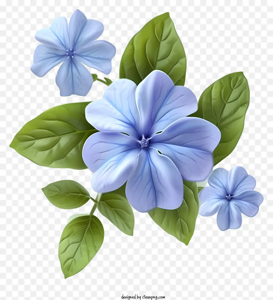 Bunga Periwinkle Yang Elegan，Bunga Biru PNG