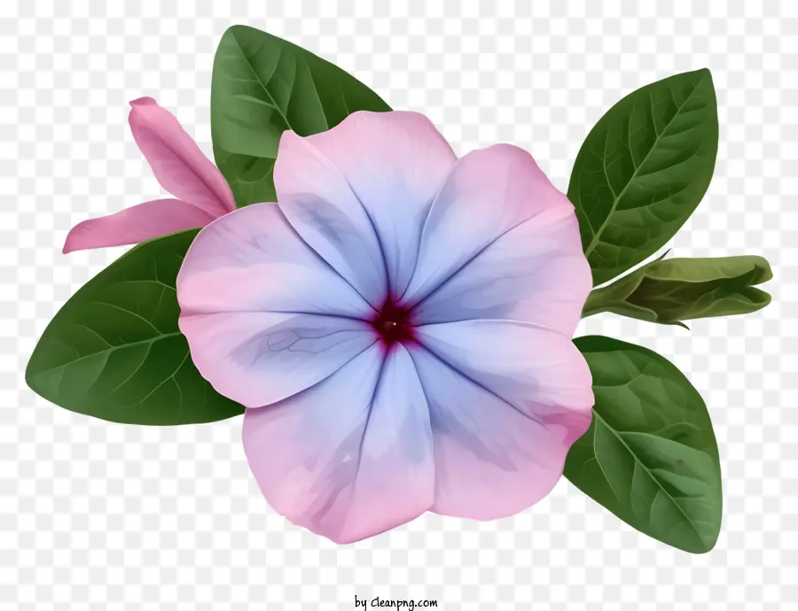 Bunga Periwinkle Yang Elegan，Bunga PNG