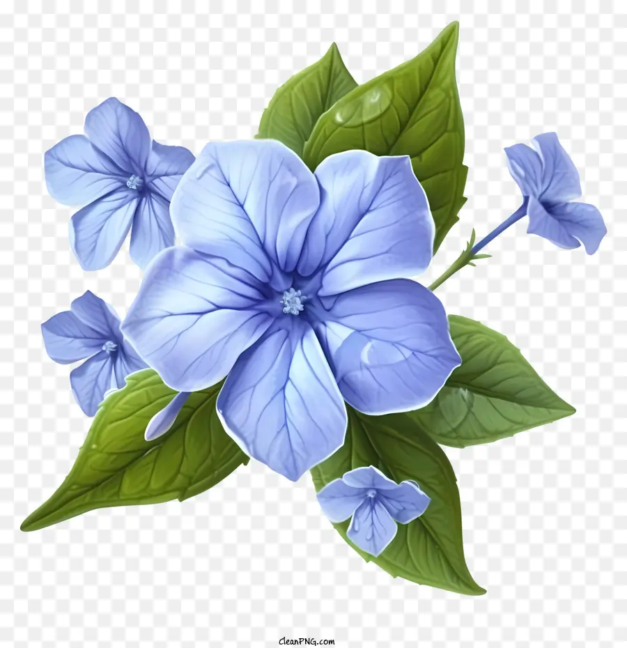 Bunga Periwinkle Yang Elegan，Bunga PNG