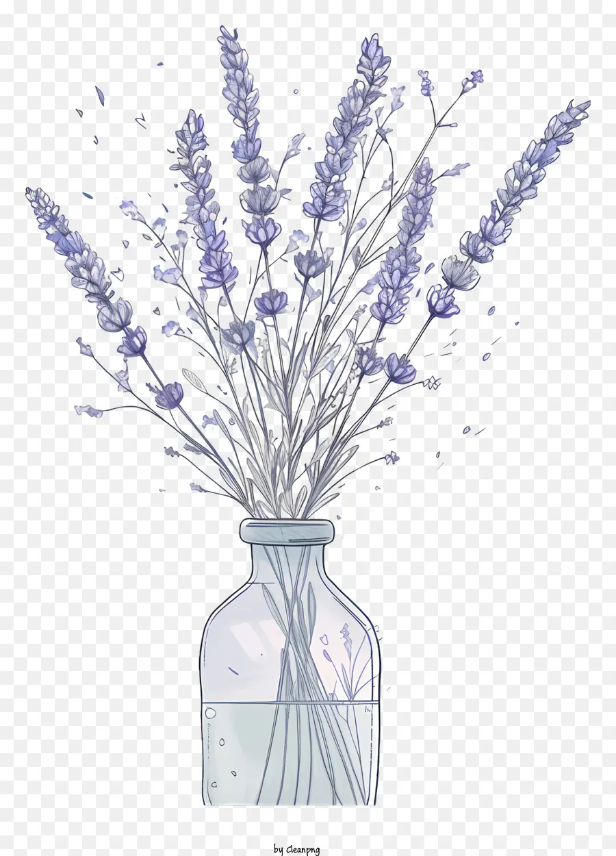 Lavender Dalam Vas，Lukisan Cat Air PNG