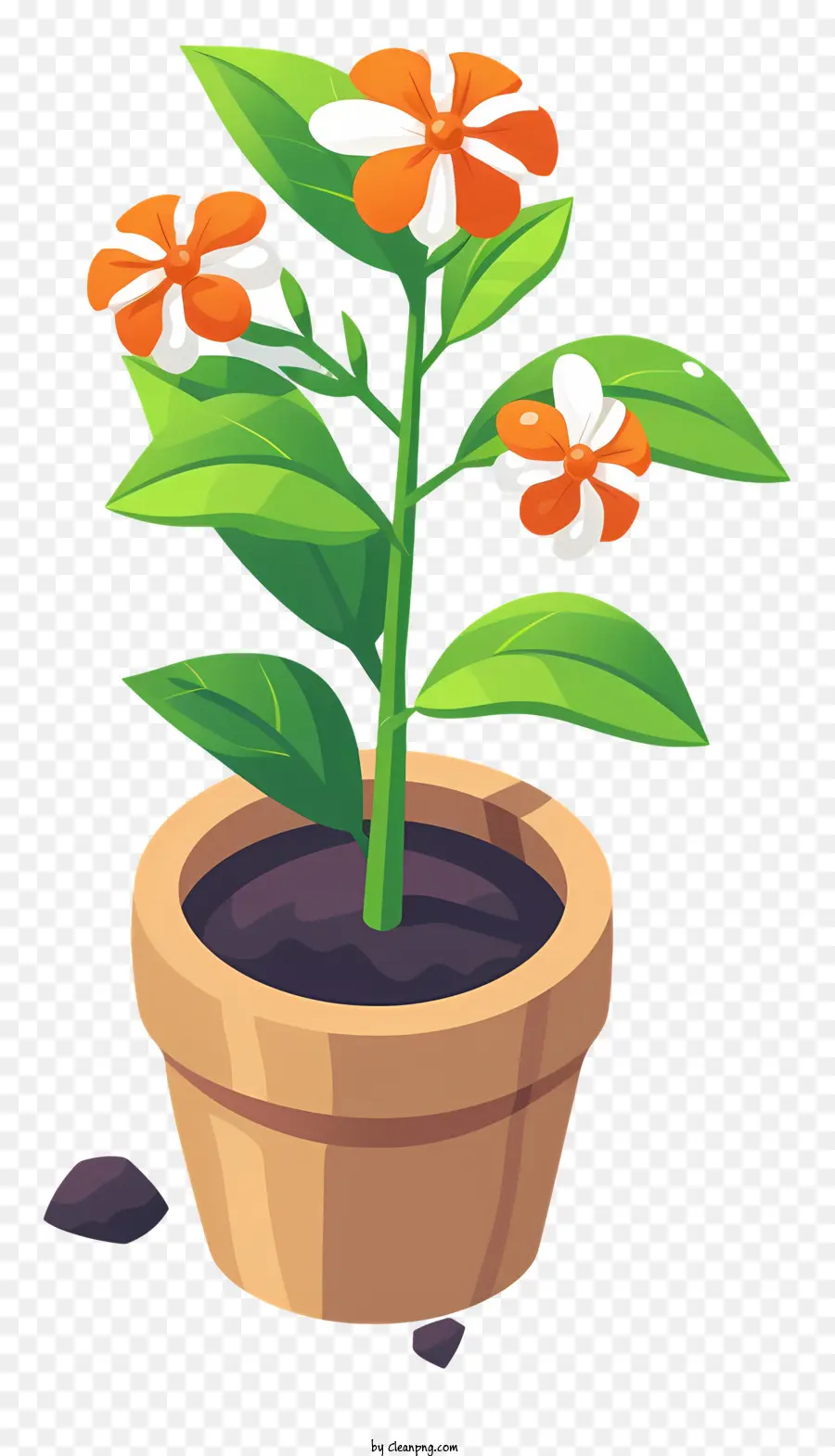 Tanam Hari Bunga，Pot Bunga PNG