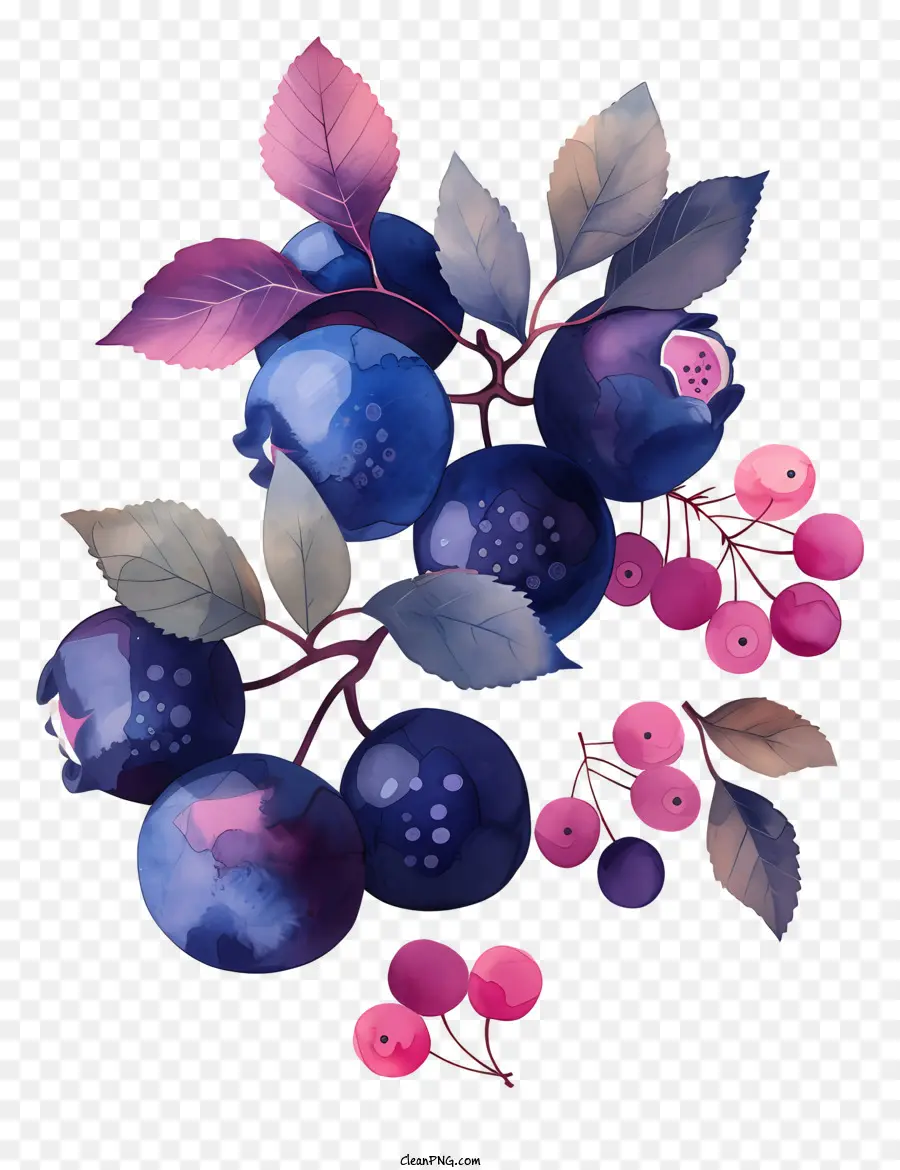 Blueberry，Buah Beri PNG