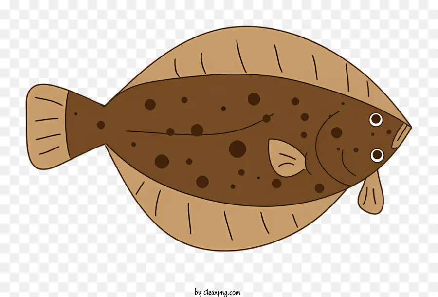 Ikan，Ikan Coklat Dan Putih PNG