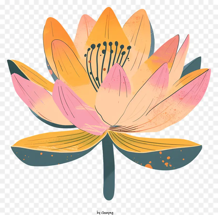 Bunga Teratai，Lukisan Watercolor Lindung PNG