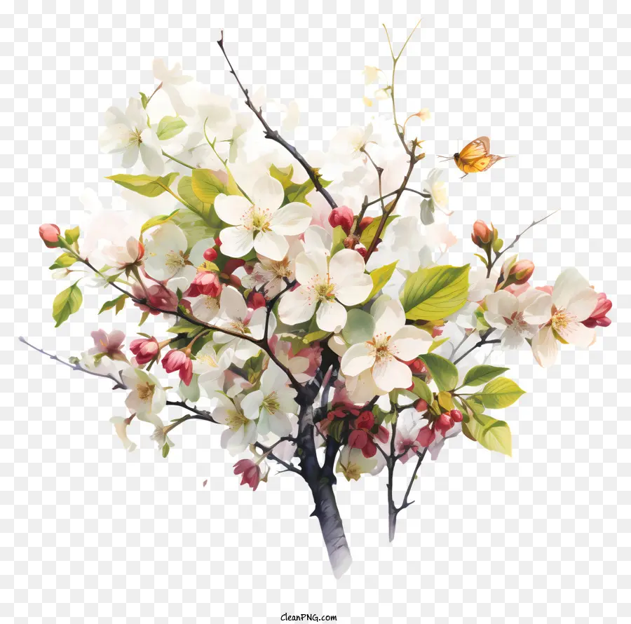 Musim Semi Dimulai，Pohon Bunga Putih PNG