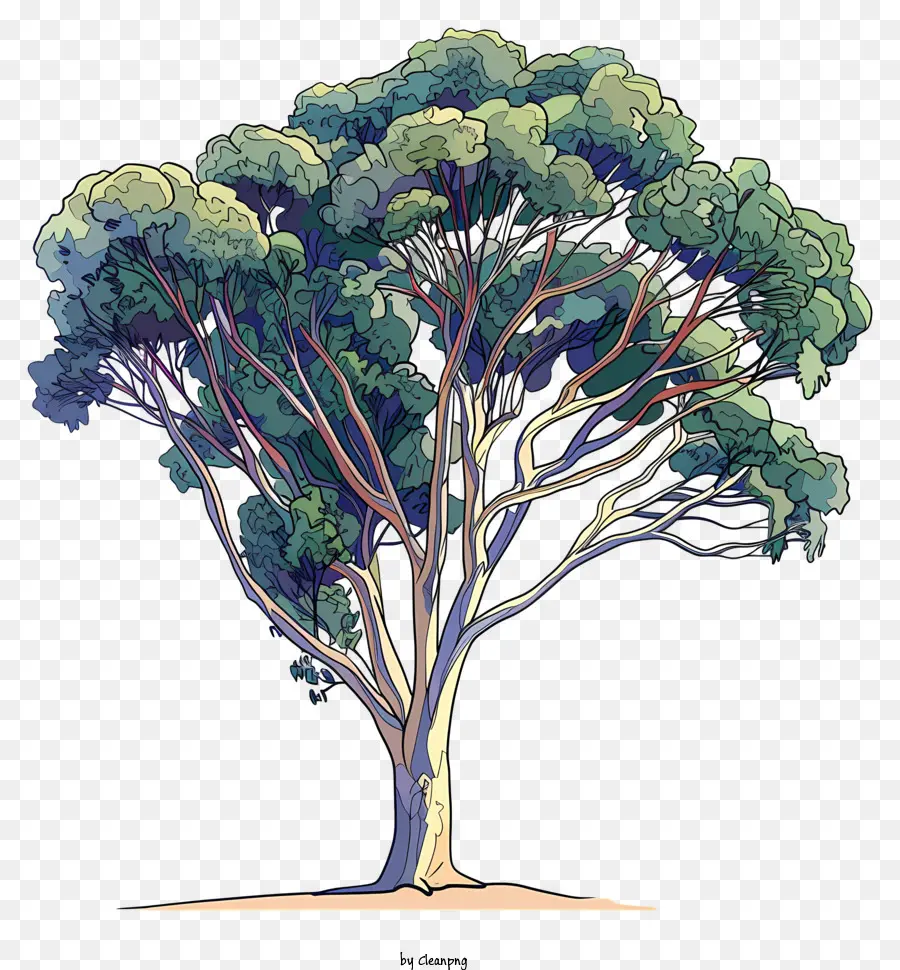 Pohon，Hutan PNG