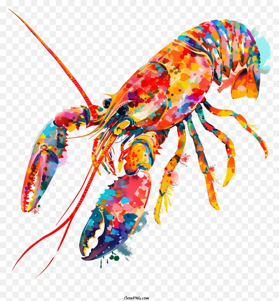 Mundur，Lobster Berwarna Warni PNG