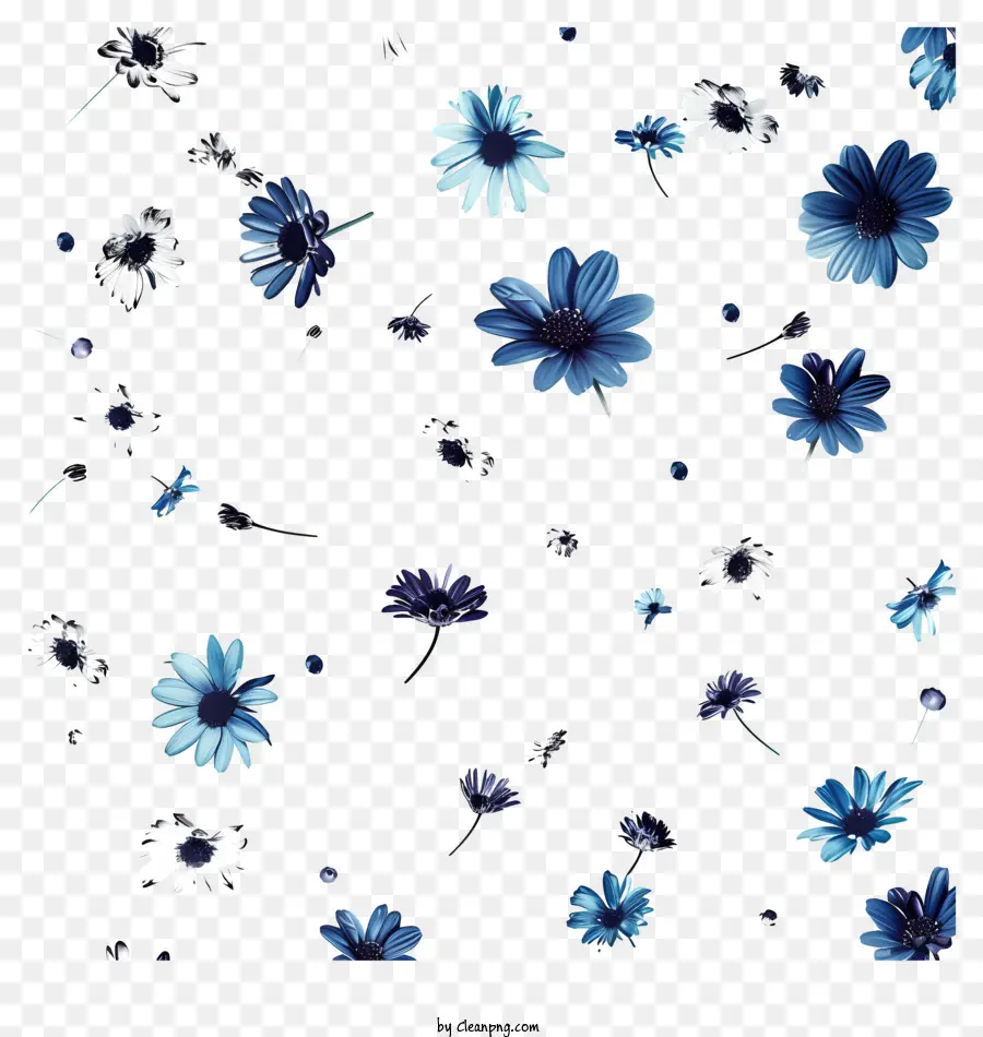 Bunga Terbang，Aster Biru PNG