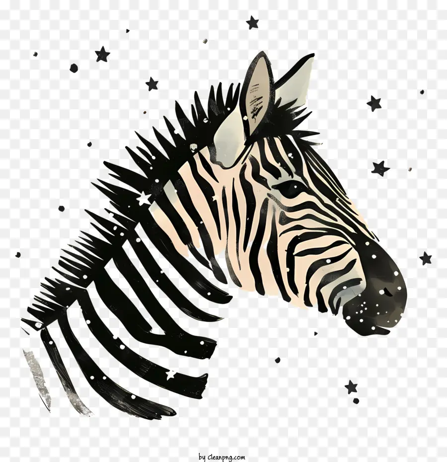 Zebra，Garis Garis PNG