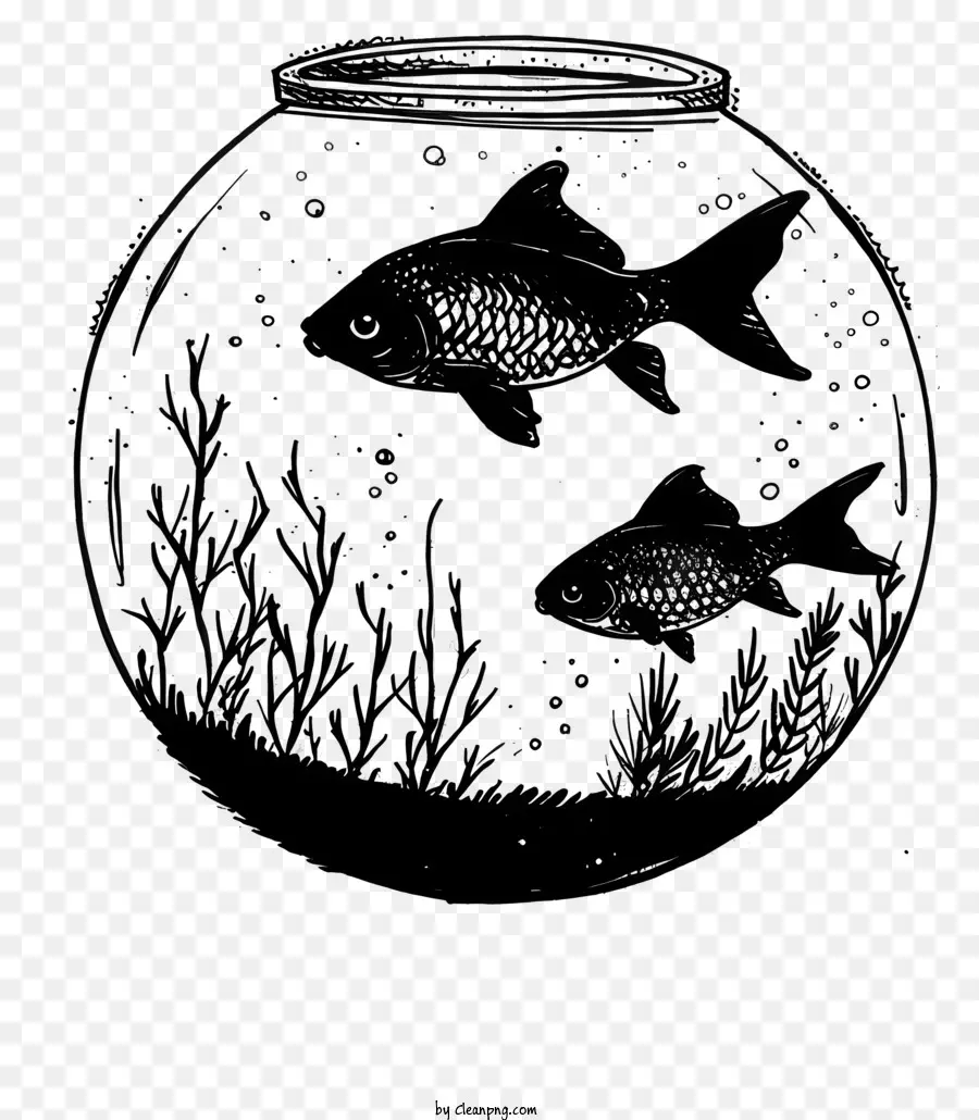 Mangkuk Ikan，Akuarium PNG