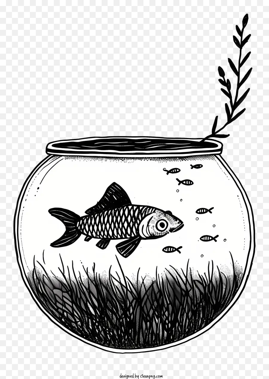 Mangkuk Ikan，Tangki Ikan PNG