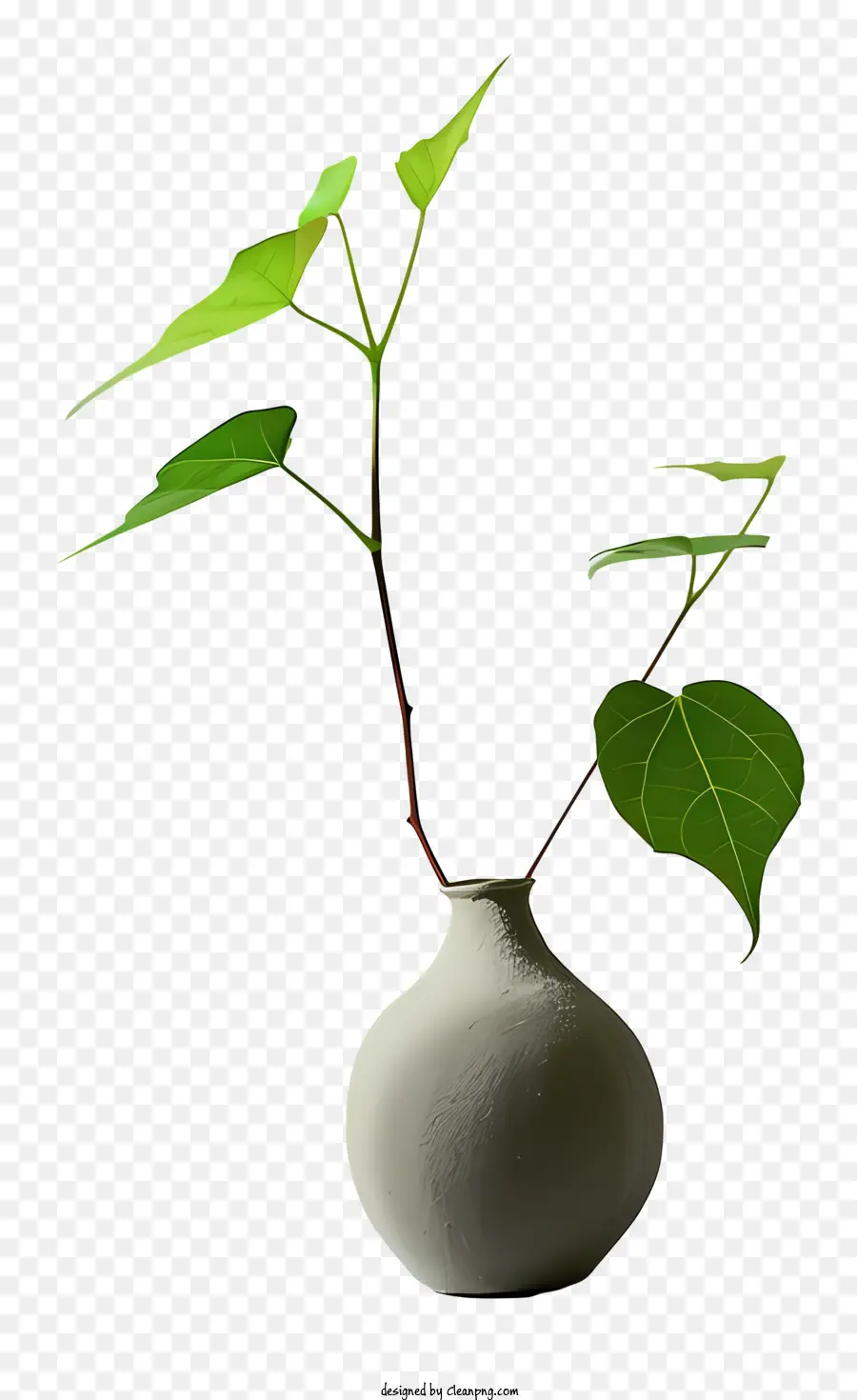 Vas，Putih PNG
