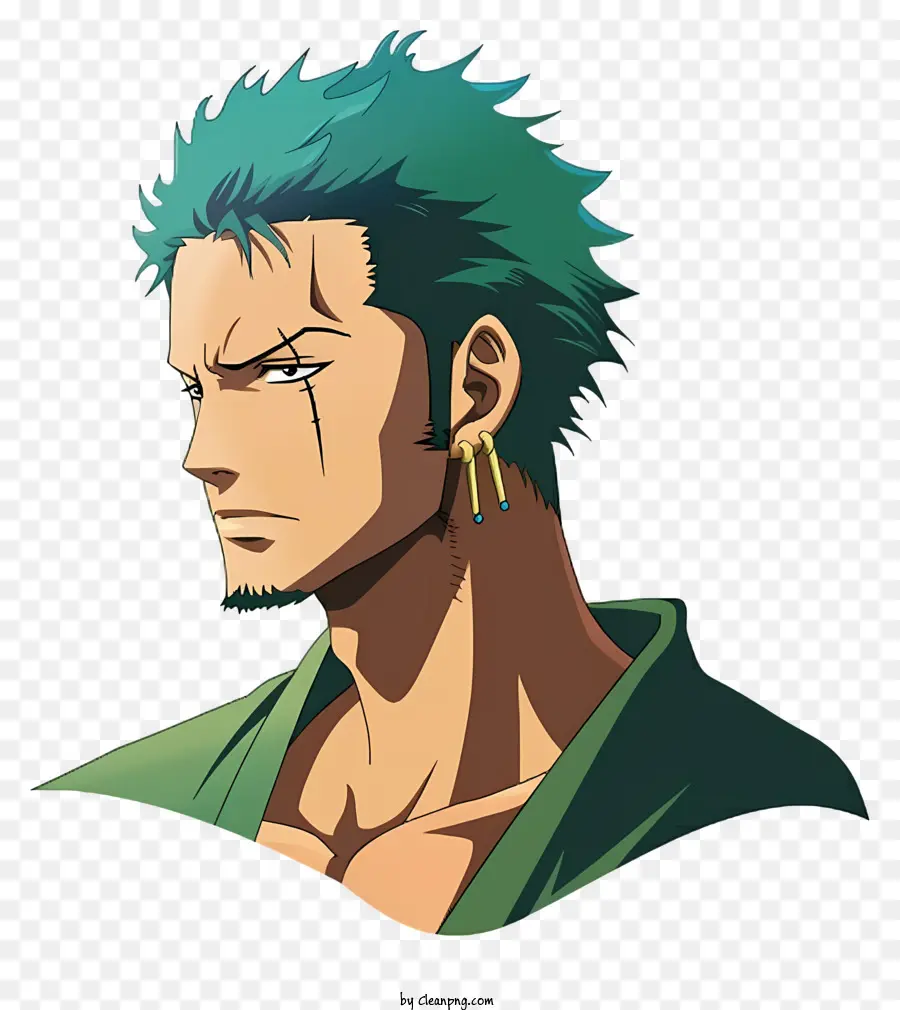 Satu Potong Roronoa Zoro，Karakter Anime PNG