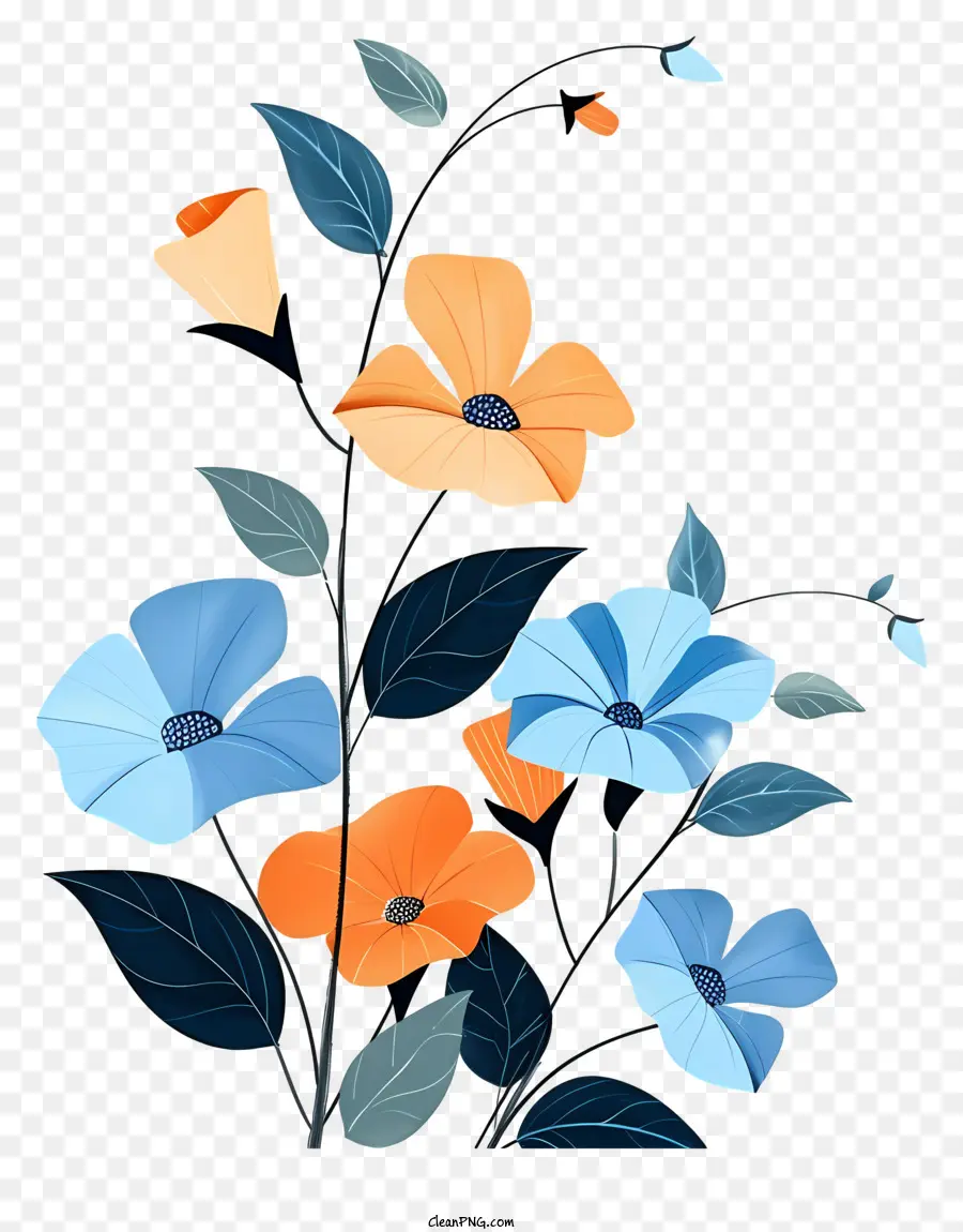 Bunga Biru，Bunga Oranye PNG
