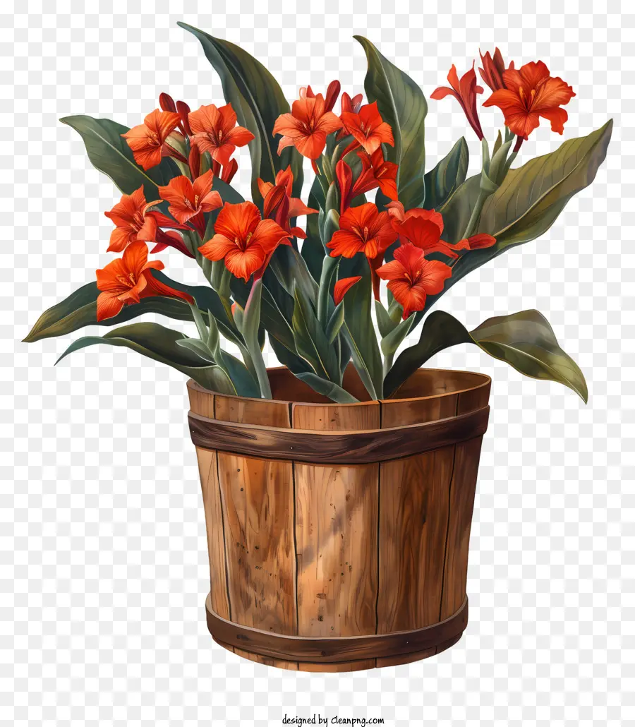 Bunga Canna Indica，Bunga Merah Dalam Pot PNG