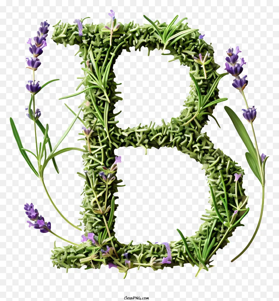 Surat Bunga B，Lavender PNG