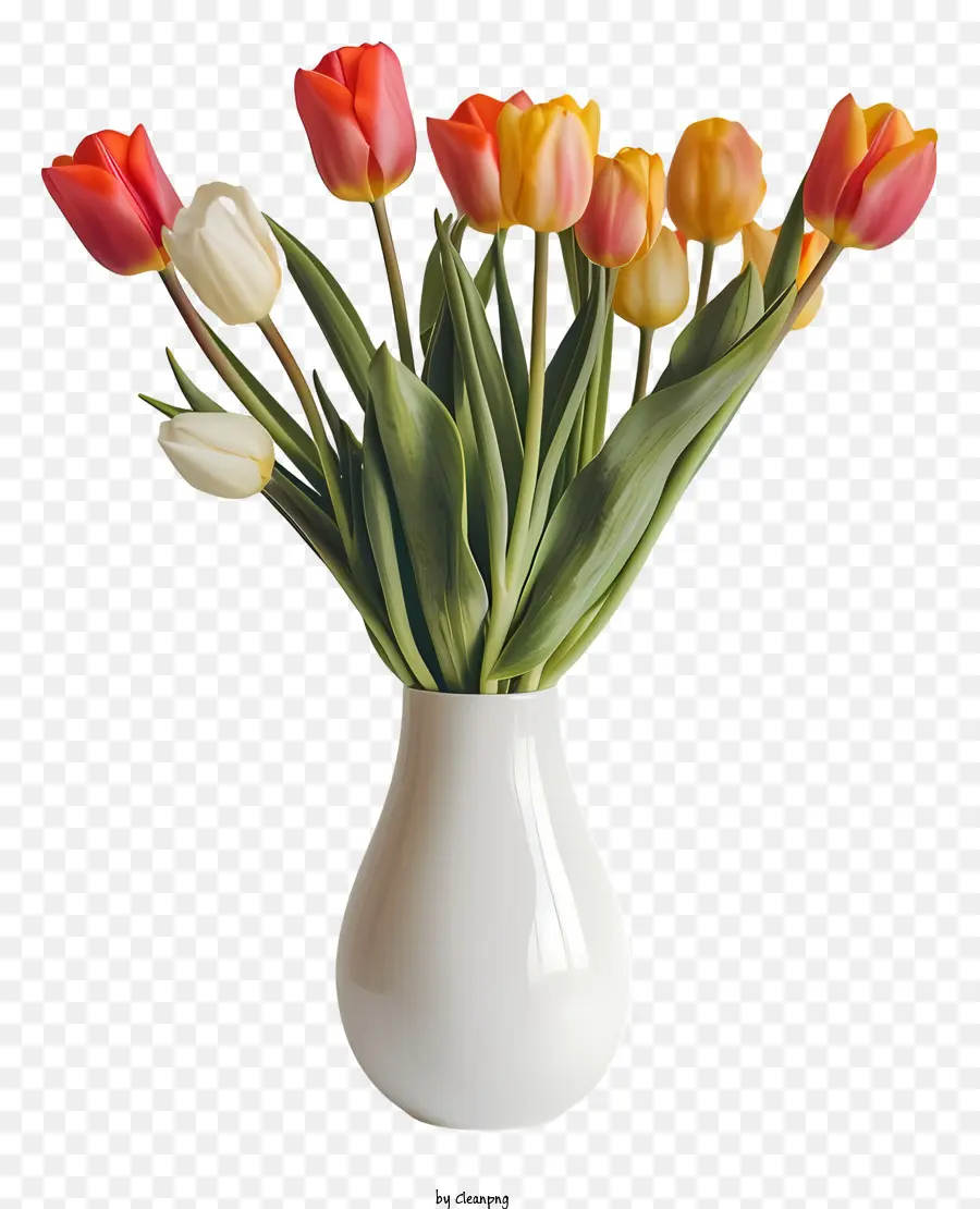 Halo Musim Semi，Tulip Kuning PNG