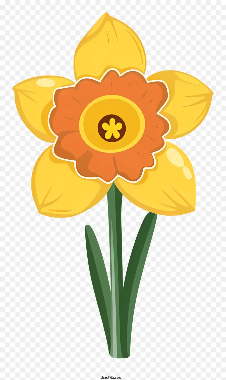 Hari Santo David，Daffodil PNG