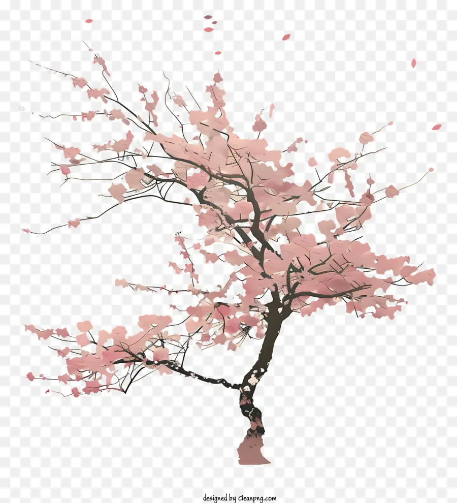 Pohon Sakura，Kelopak Merah Muda PNG