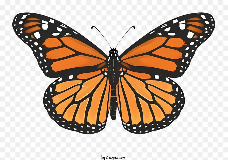Kupu Kupu Monarch，Sayap Oranye Dan Hitam PNG