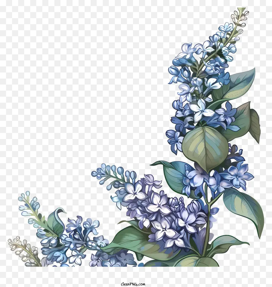 Bunga Ungu，Lilac Biru PNG