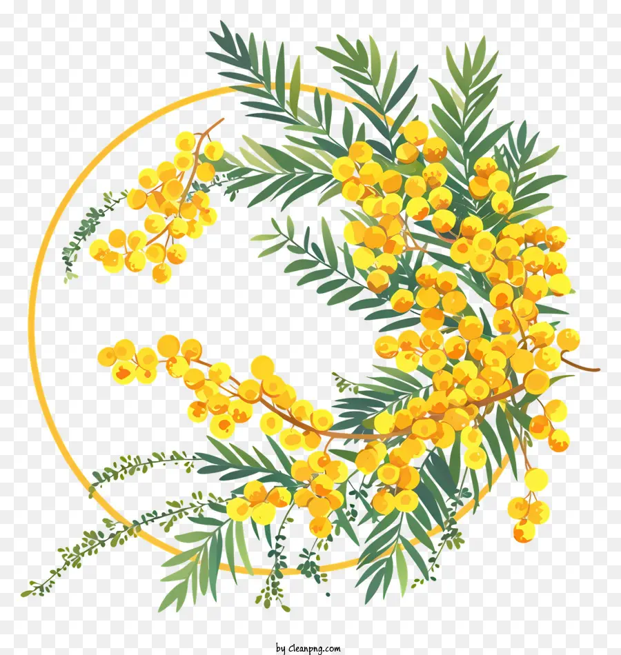 Karangan Bunga Bunga Mimosa，Kayu Putih Bunga PNG