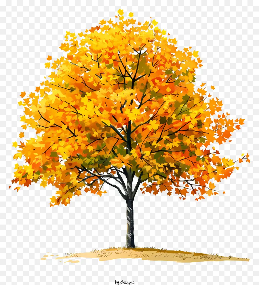 Kuning Pohon Maple，Musim Gugur PNG