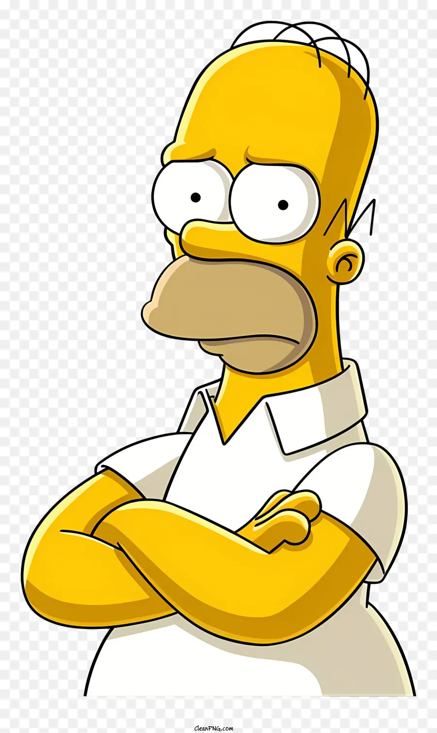 Simpsons，Melibatkan Perenungan PNG
