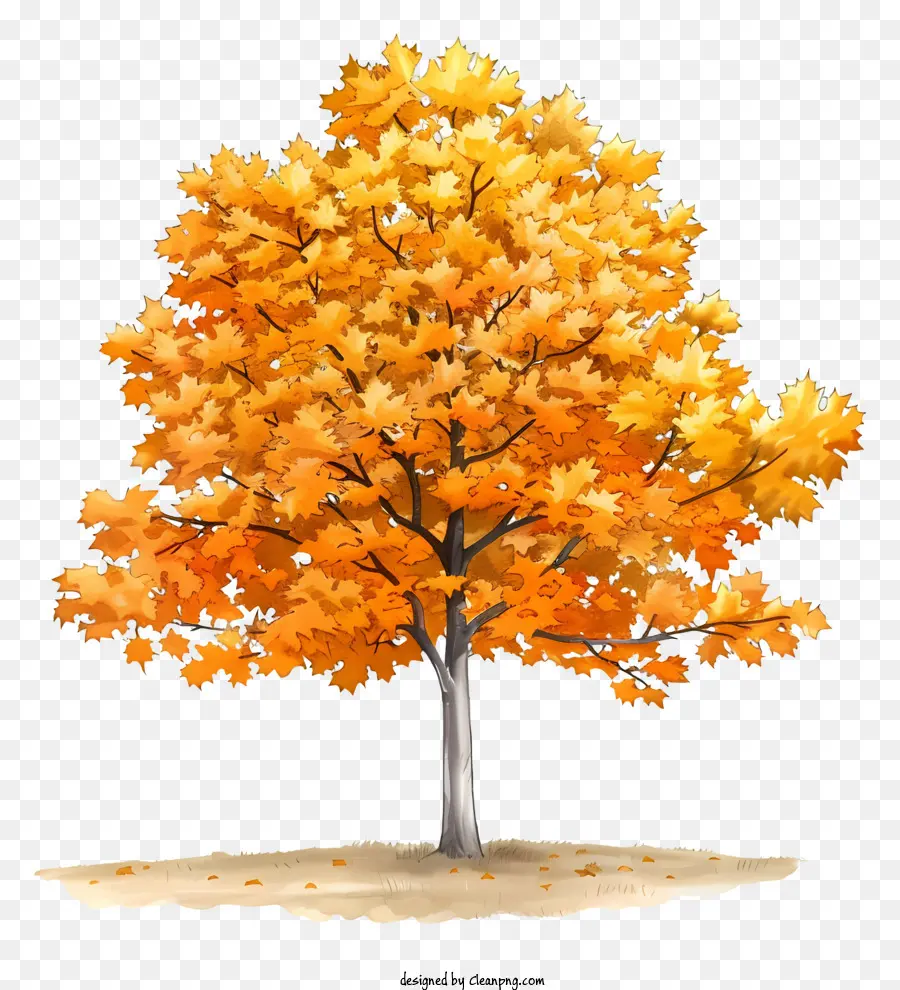 Kuning Pohon Maple，Daun Jeruk PNG
