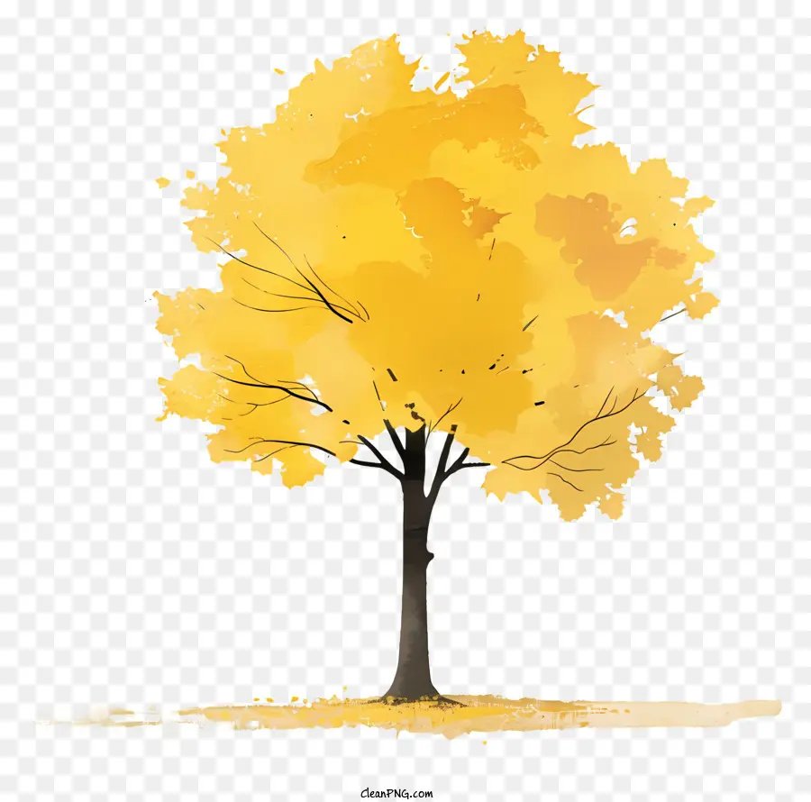 Kuning Pohon Maple，Musim Gugur PNG