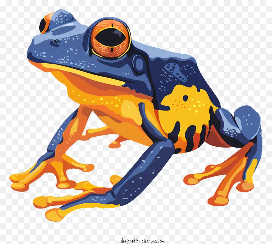 Katak Kartun，Katak Berwarna Warni PNG