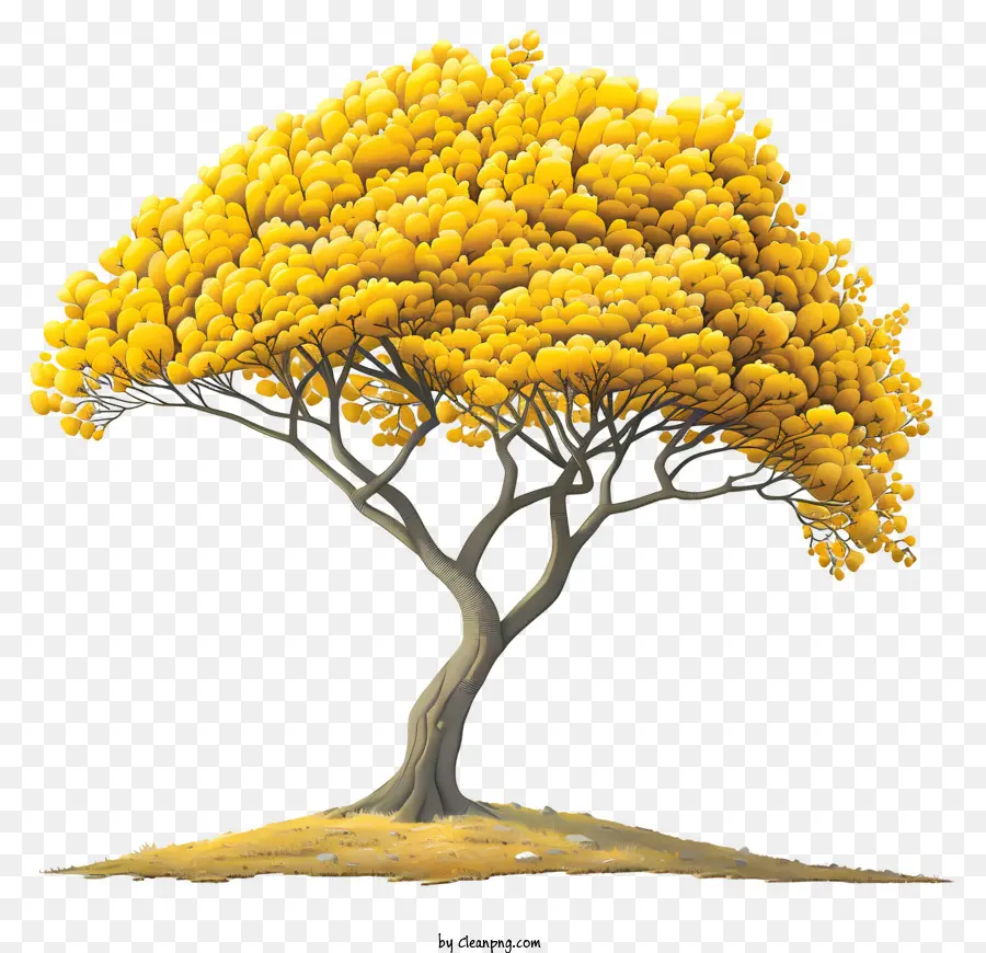 Pohon Musim Gugur，Pohon Kuning PNG