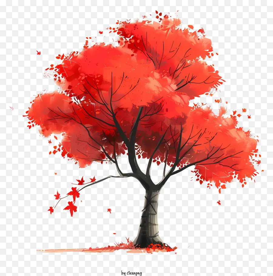 Pohon Musim Gugur，Maple Merah PNG