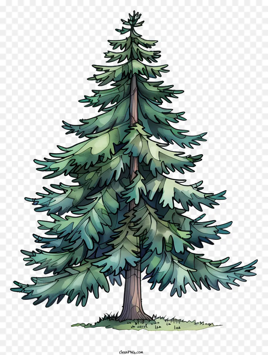 Pohon Cemara，Pohon Pinus PNG