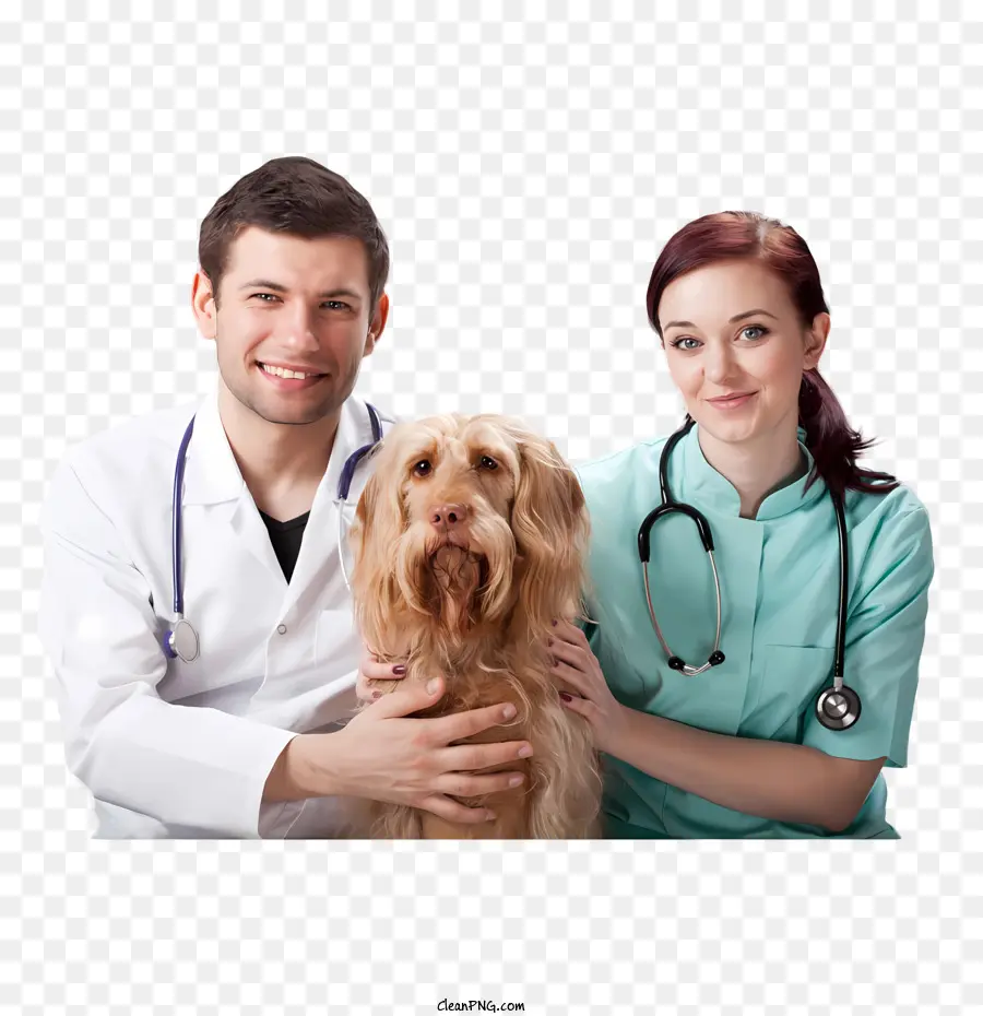 Anjing，Dokter Hewan Dengan Anjing PNG