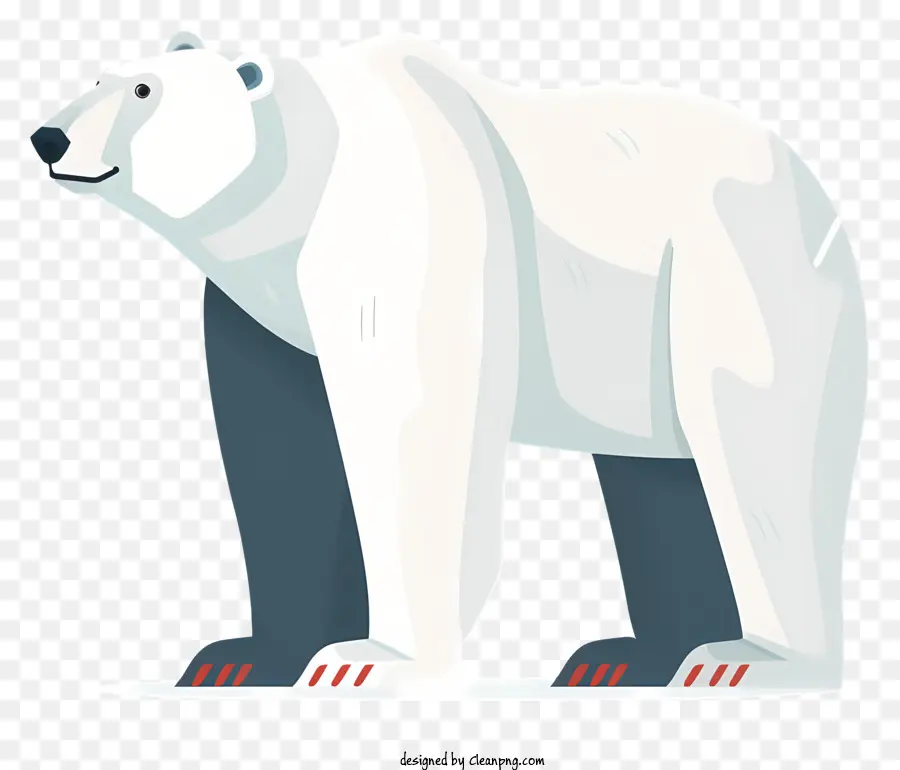 Beruang Kutub，Satwa Liar Arktik PNG