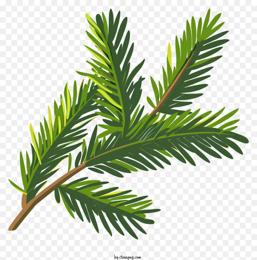 Pohon Natal Cabang，Cabang Pinus PNG
