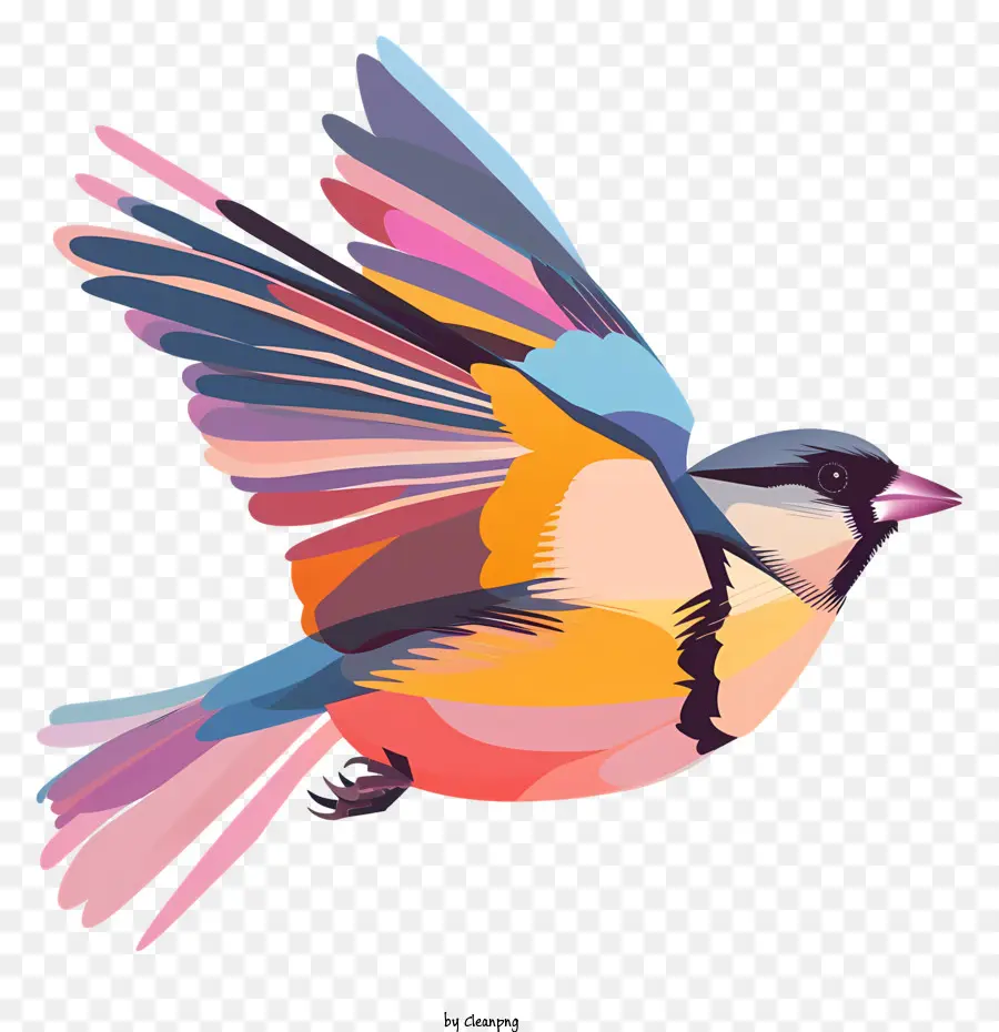 Burung Terbang，Warna Warni Burung PNG