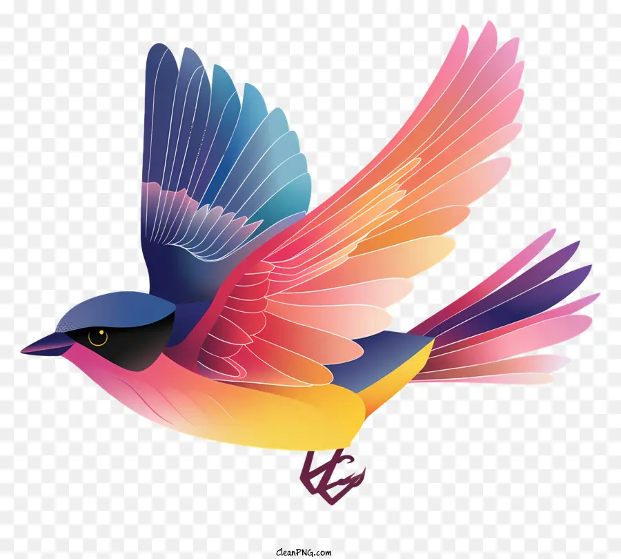 Burung Terbang，Warna Warni Burung PNG